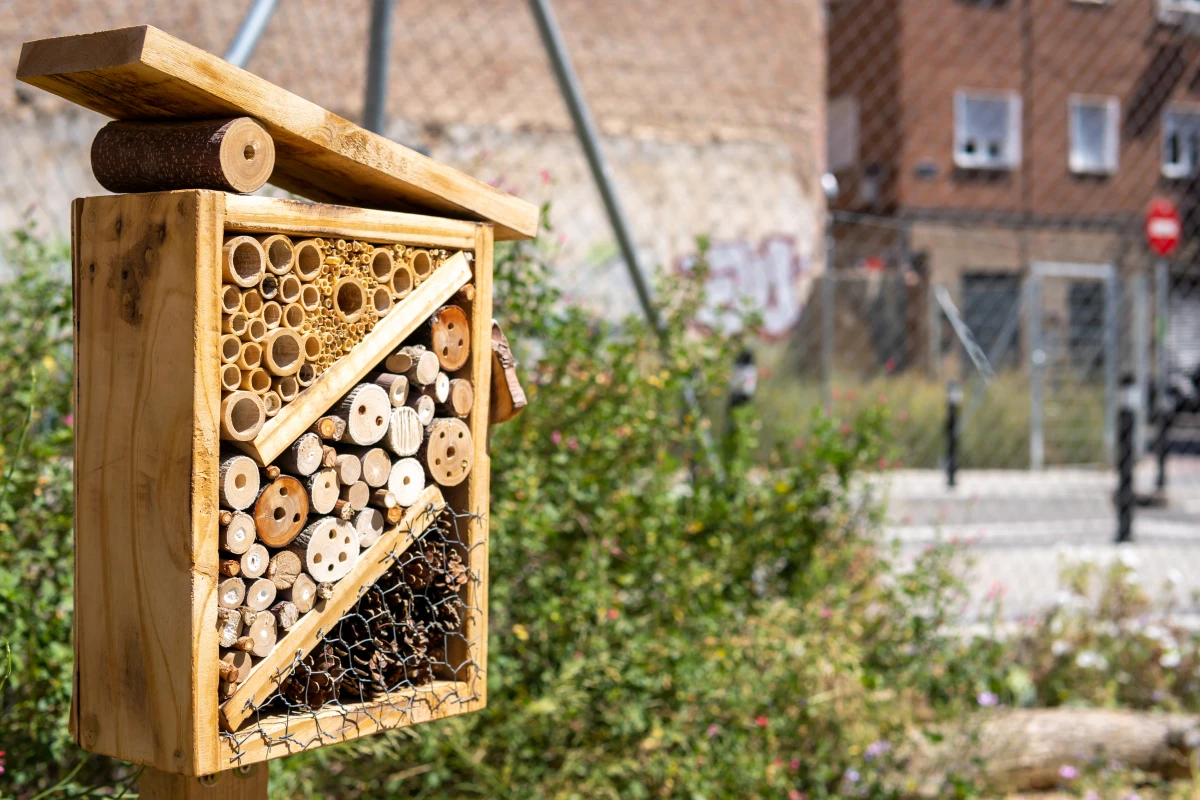 La responsabilité des États dans la protection de la biodiversité