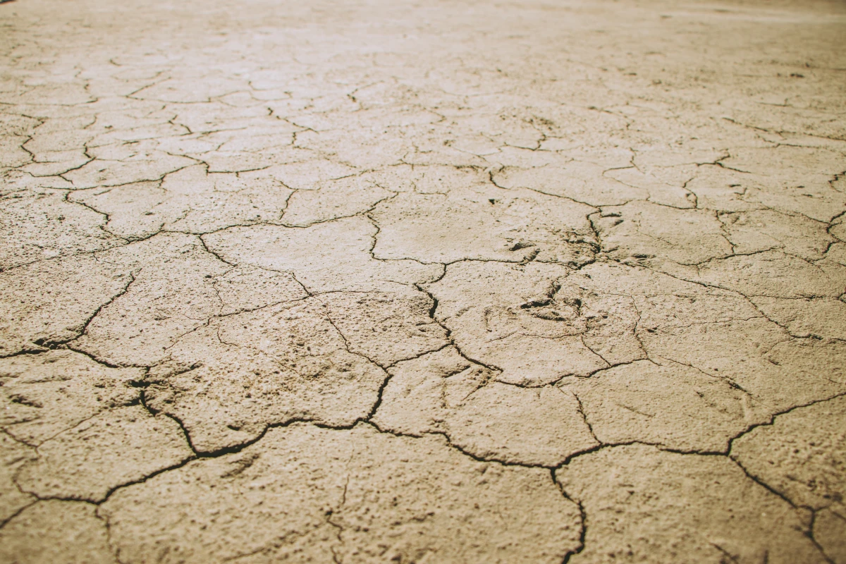 Le droit à la santé face au changement climatique : un défi juridique majeur