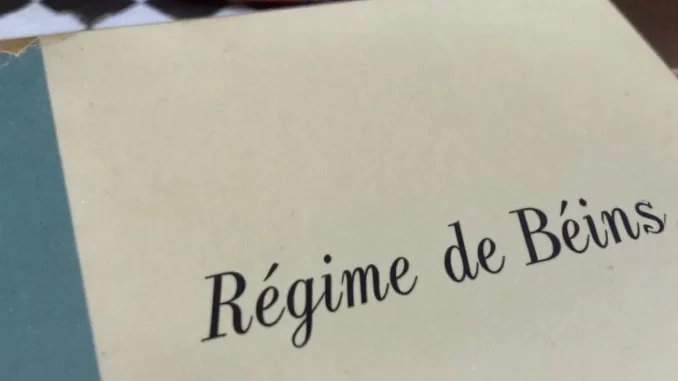 tout-savoir-sur-le-r